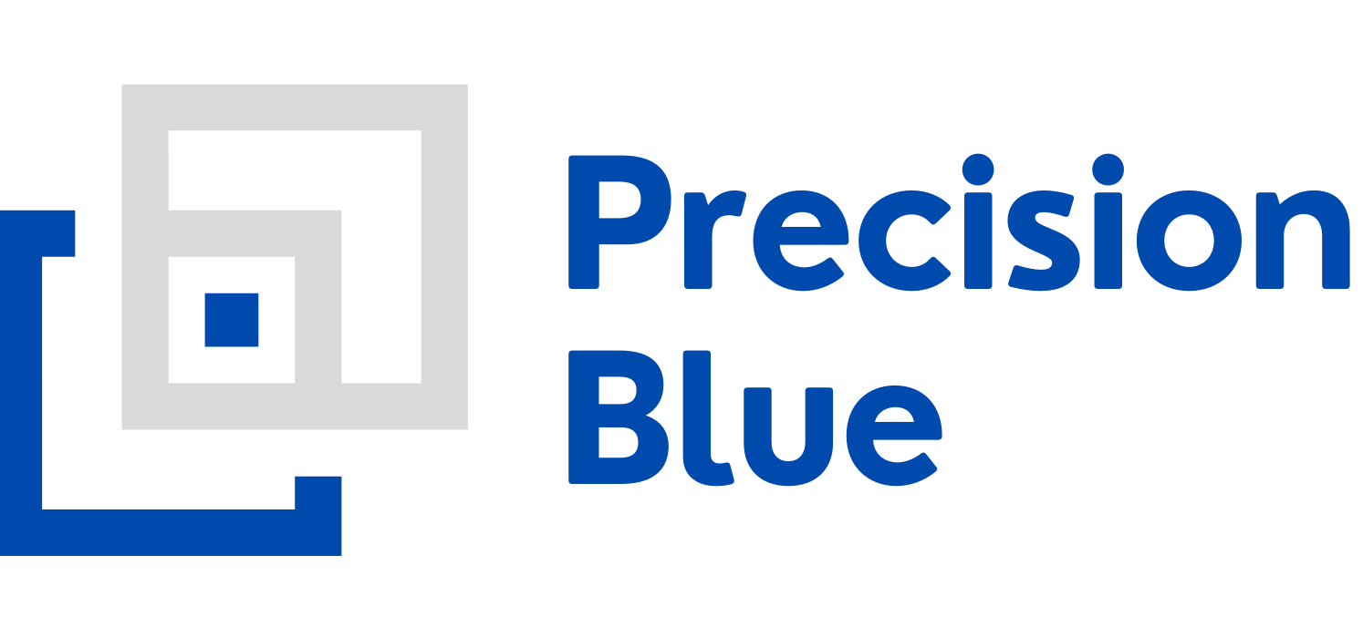 Precision Blue IT Professional Services and Support